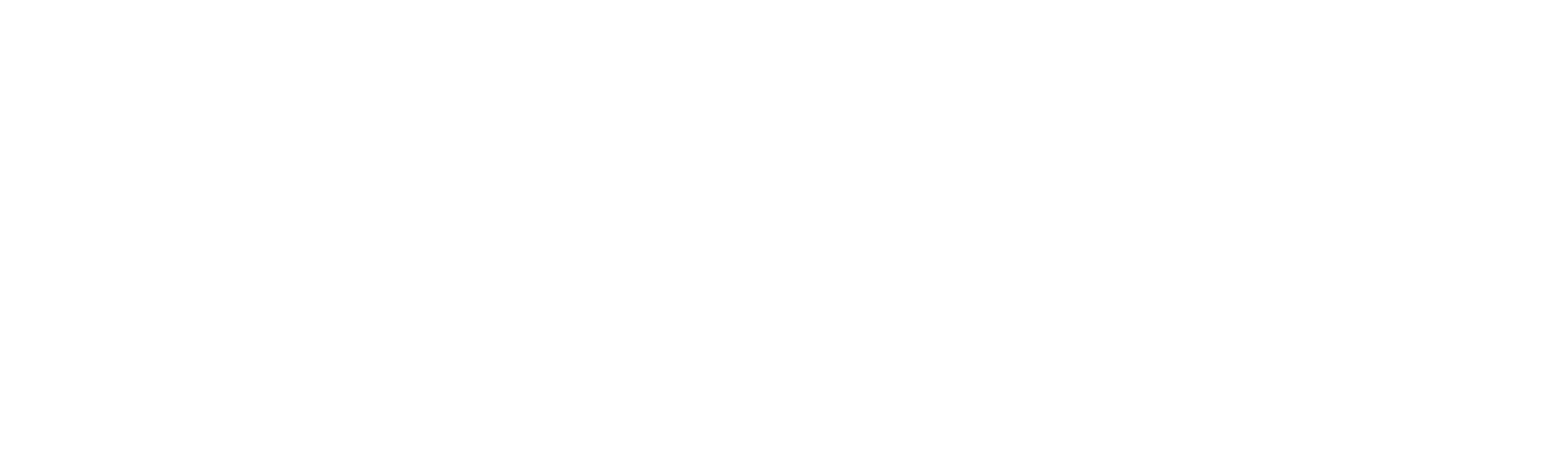 Page Header Logo