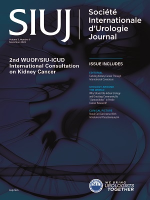 cover-issue-13-en-us.jpg